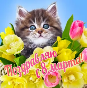Открытки на 8 марта Открытка картинка с праздником 8 марта,поздравления с 8 марта