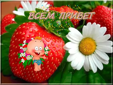 Привет,приветствие Открытка картинка привет,приветствие,передать привет,приветик