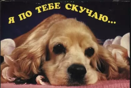 Открытки скучаю Открытка с надписью скучаю,красивая открытка скучаю,очень скучаю