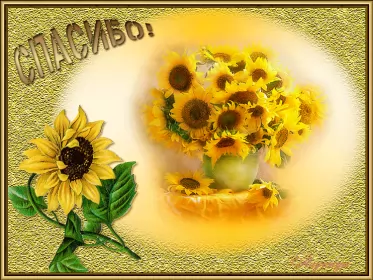 Открытки спасибо Открытка гиф,мерцающая спасибо,открытка гиф с надписью спасибо,подсолнух
