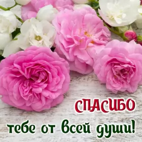 Открытки спасибо Открытки спасибо,благодарю,красивая открытка с надписью спасибо