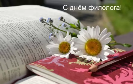 Открытки на день филолога Открытка профессиональный праздник день филолога,с днём филолога,ромашка