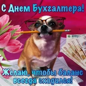 Открытки на день бухгалтера Открытка день бухгалтера,профессиональный праздник день бухгалтера
