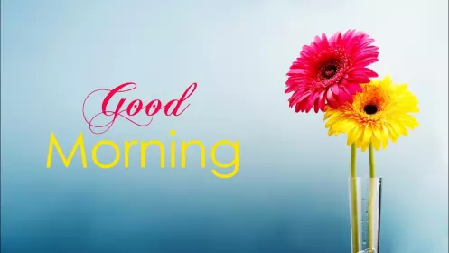 Открытки Good Morning Картинка открытка на английском языке доброе утро Good Morning 