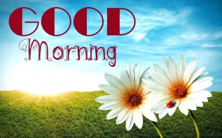 Открытки Good Morning Картинка открытка на английском языке доброе утро Good Morning 