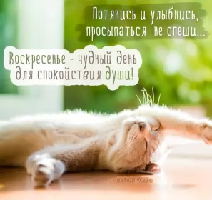 Доброе утро дни недели Открытка с добрым утром воскресенья,с добрым воскресным утром