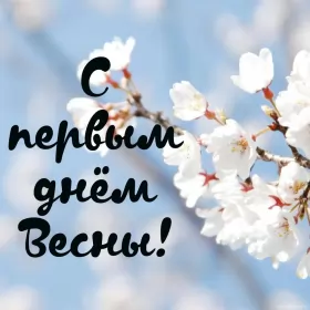 Открытки первый день весны Открытки первый день весны,поздравления с первым весенним днём
