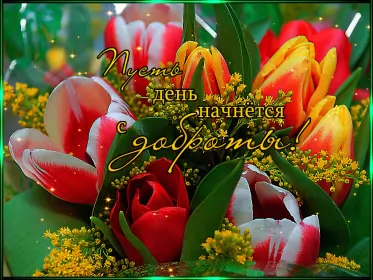 Открытки добрый день Открытка добрый день,картинка пожелания доброго дня,день добрый