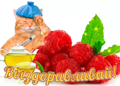 Открытки выздоравливай Открытка гиф,мерцающая выздоравливай,с надписью выздоравливай