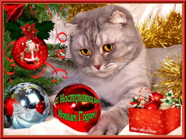 Открытки с наступающим новым годом Открытка гиф,мерцающая  с наступающим новым годом,с наступающим