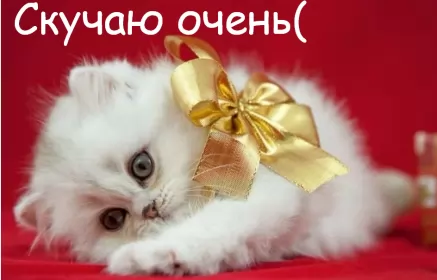 Открытки скучаю Открытки скучаю я скучаю по тебе,картинки с надписью скучаю .