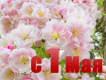 Открытки 1 мая  Открытка на 1 мая,первомай,поздравления с праздником 1 мая .
