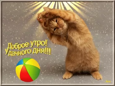 Доброе утро-разное Открытка с добрым утрои,пожелания доброго утра,красивая открытка доброе утро
