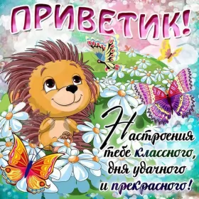 Привет,приветствие Открытка картинка привет,приветствие,передать привет,приветик