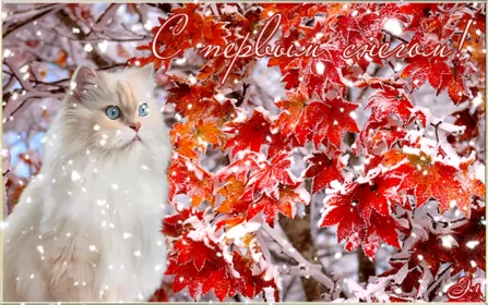 Открытки с первым снегом Открытки с первым снегом,первый снег,выпал первый снег,снежок