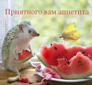 Открытки приятного аппетита Открытки приятного аппетита,аппетитные картинки приятного аппетита
