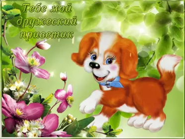 Привет,приветствие Открытка картинка гиф ,мерцающая привет,приветсвие,передать привет