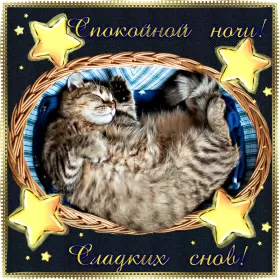 Открытки спокойной ночи Картинки открытки с пожеланиями спокойной ночи,спокойного сна.