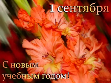 Открытки на 1 сентября день знаний Открытка картинка на 1 сентября начало учебного года,день знаний