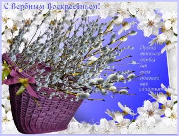 Открытки вербное воскресенье Картинка открытка на вербное воскресенье,с вербным воскресеньем