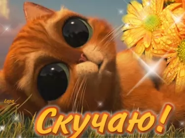 Открытки скучаю Открытка с надписью скучаю,красивая открытка скучаю,очень скучаю