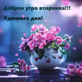 Доброе утро дни недели Открытка красивая доброе утро по дням недели, доброе утро вторника