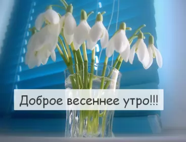 Доброе весеннее утро Открытка доброе весеннее утро,с добрым весенним утром,весеннее утро