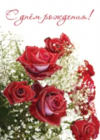 Открытки картинки с днём рождения! Открытка картинка яркая с поздравлениями с днём рождения