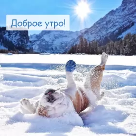 Открытки с добрым морозным утром Открытка картинка с морозным добрым утром,зимнее доброе утро