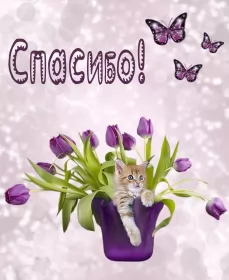 Открытки спасибо Открытки спасибо,благодарю,красивая открытка с надписью спасибо