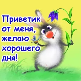 Привет,приветствие Открытки картинки привет,приветствие,красивые открытки привет