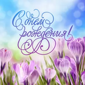 Открытки картинки с днём рождения! Открытка картинка с днём рождения,красивая открытка с поздравлениями