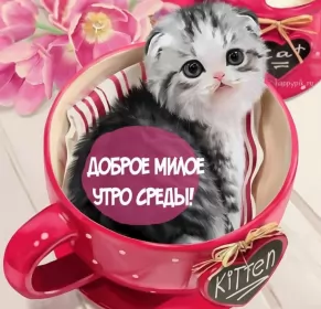 Доброе утро дни недели Открытка с пожеланиями доброго утра среды,с  добрым утром среда.