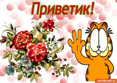 Привет,приветствие Открытки картинки привет,приветствие,красивые открытки привет