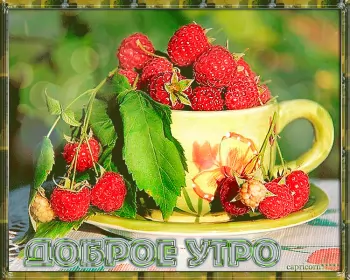 Доброе летнее утро Открытка гиф с добрым летним утром,пожелания доброго утра лета