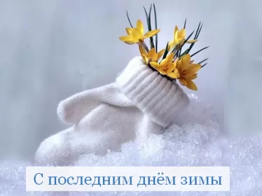 Открытки с последним днём зимы Открытка картинка с последним днём зимы,последний зимний день