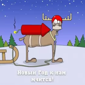Открытки прикольные с Новым годом Открытка прикольная с новым годом ,на новый год 31 декабря .