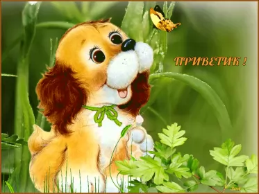 Привет,приветствие Открытка картинка гиф ,мерцающая привет,приветсвие,передать привет