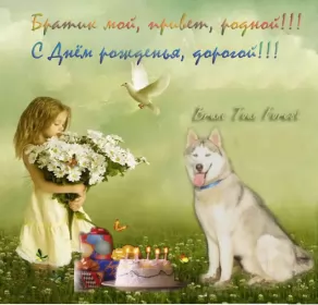 Открытки с днём рождения брату Открытки с днём рождения брат,поздравления для брата с днём рождения