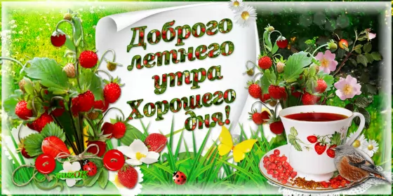 Доброе летнее утро Открытка гиф с добрым летним утром,пожелания доброго утра лета