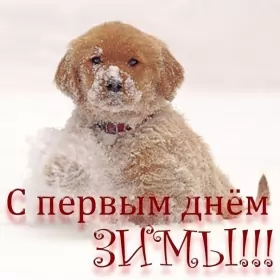 Открытки первый день зимы Открытки с поздравлениями первый день зимы,начало зимы,1 декабря