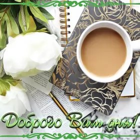 Открытки добрый день Открытка добрый день,картинка пожелания доброго дня,день добрый