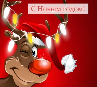 Открытки прикольные с Новым годом Открытка новогодняя прикольная с новым годом ,на новый год. 