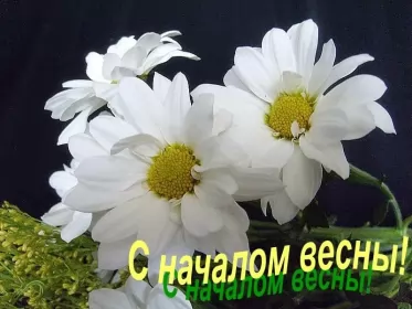 Открытки первый день весны Открытки первый день весны,поздравления с первым весенним днём