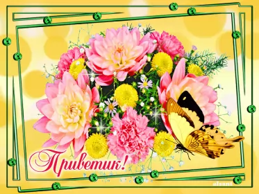 Привет,приветствие Открытки картинки привет,приветствие,красивые открытки привет