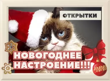  Открытки новогоднее настроение,новогоднего настроения