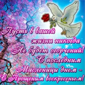 Открытки прощённое воскресенье Открытка картинка прощённое воскресенье,с прощённым воскресеньем