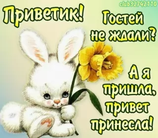 Привет,приветствие Открытки картинки привет,приветствие,красивые открытки привет