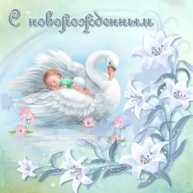 Открытки с новорожденным мальчиком Открытки картинки с новорождённым  мальчиком , поздравления 