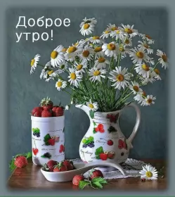 Доброе летнее утро Открытка с добрым летним утром,доброго летнего утра,летнее утро